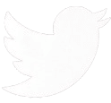 Twitter Icon
